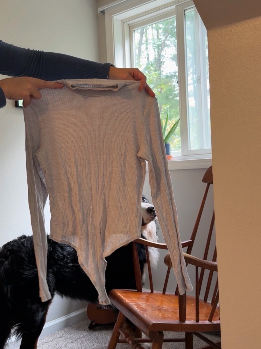 American Eagle Outfitters Light Gray Bodysuit Mock Neck